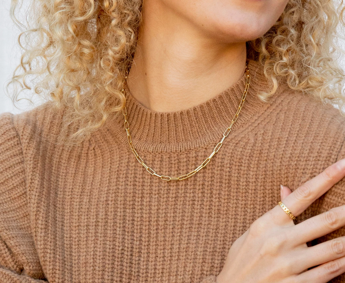 Parker link collar discount necklace