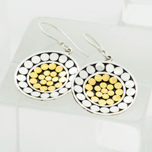 
            
                Load image into Gallery viewer, Be a light 2 tone concave disk earrings
            
        
